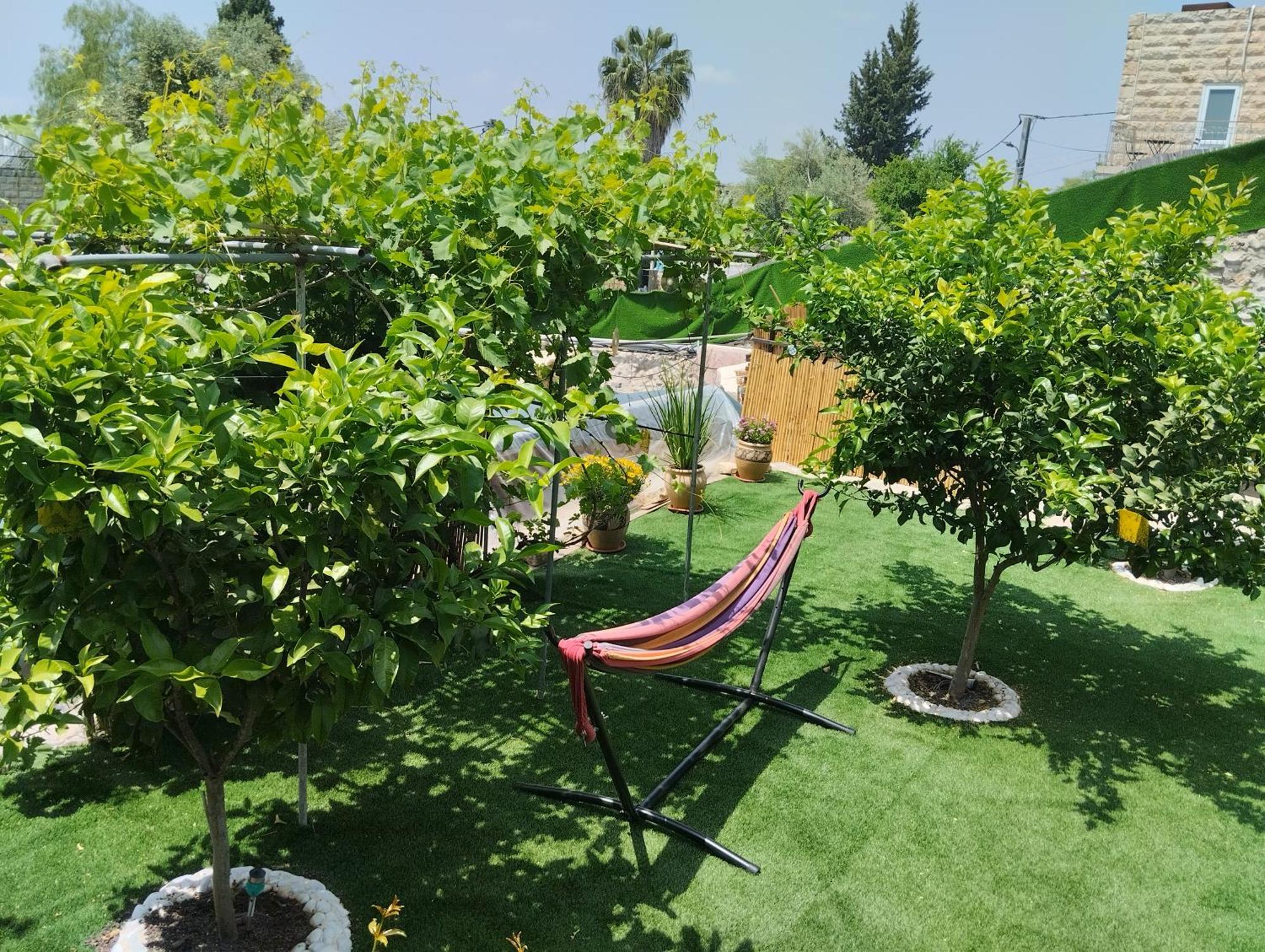 예루살렘 קסם עין כרם 아파트 외부 사진
